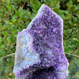 798g 13x12x9cm Purple Amethyst Cluster from Uruguay