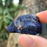 29.9g 4x2.5x2cm Rare Crystalized Azurite from Laos