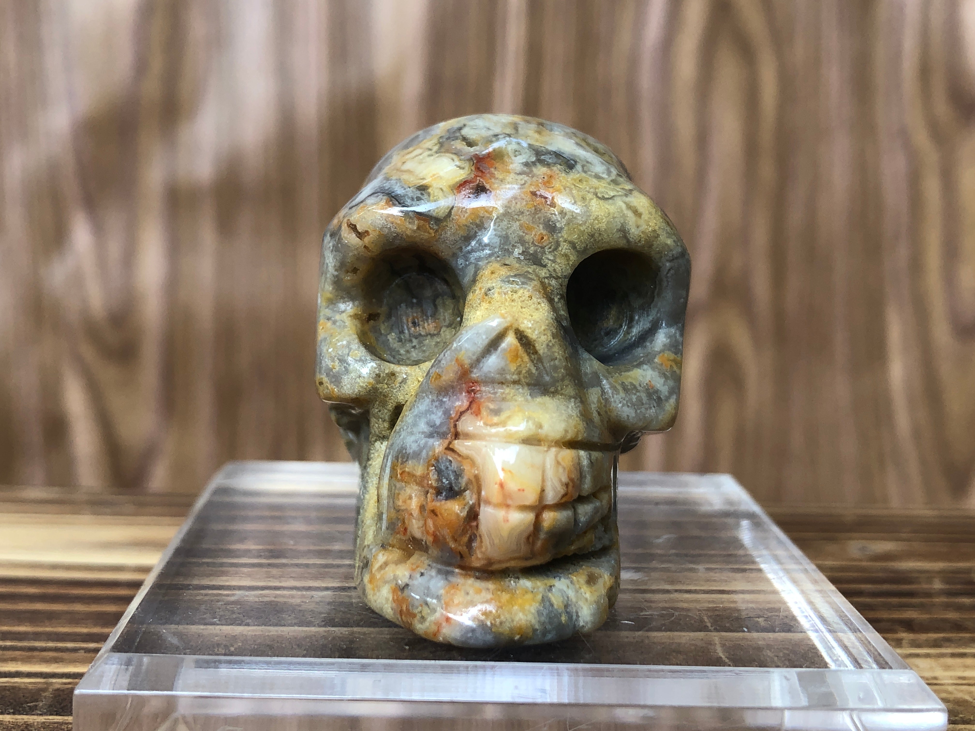 Crazy Agate Skull