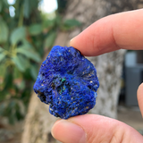 42.4g 4x3.5x3cm Rare Crystalized Azurite from Laos
