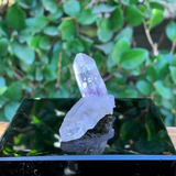 18.9g 5x4x2cm Purple and Pink Vera Cruz Amethyst from Mexico