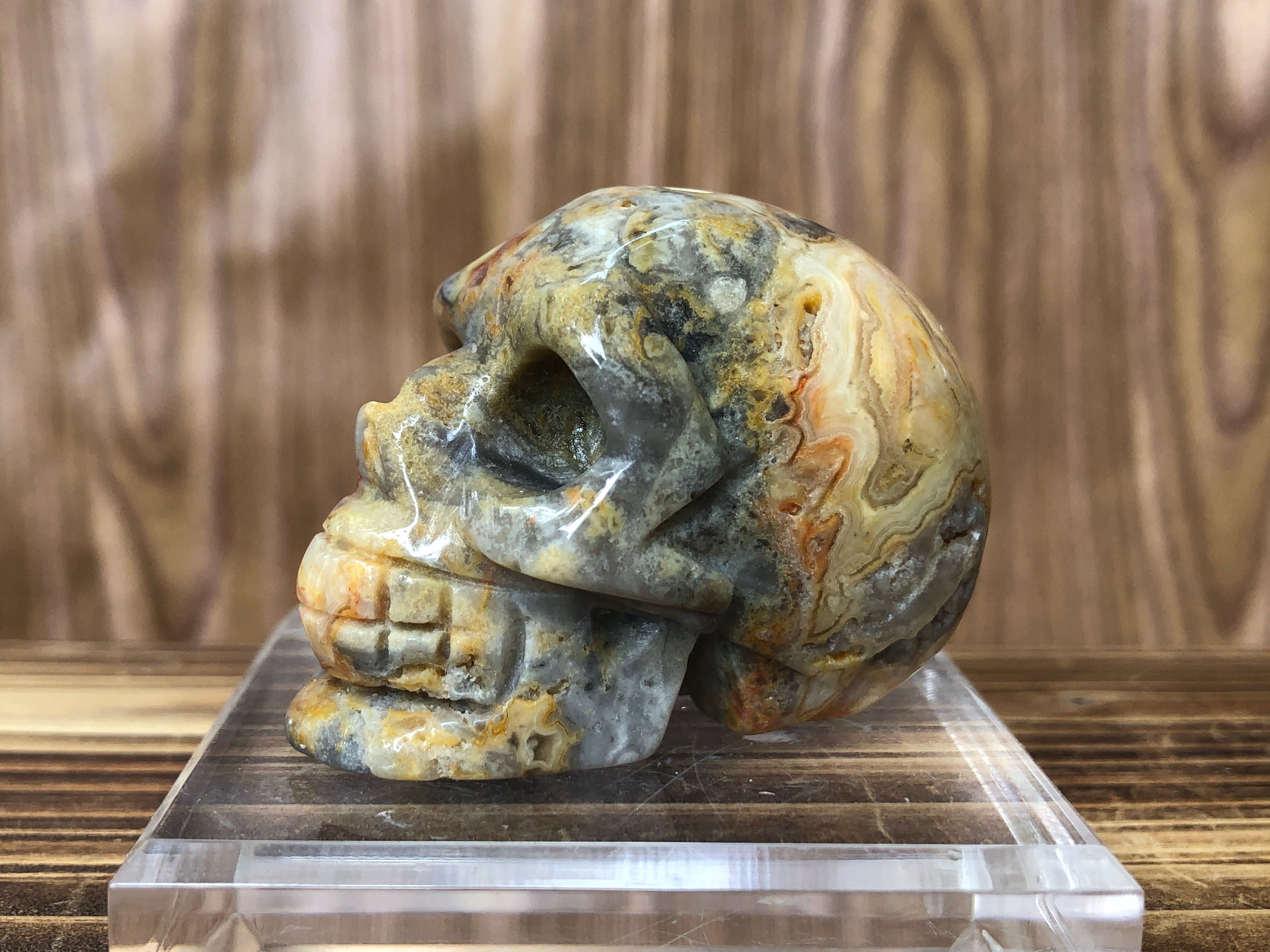 Crazy Agate Skull