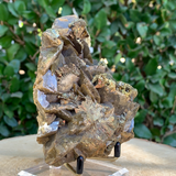 638g 10x9x5cm Brown Siderite from China