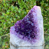 856g 11x10x10cm Purple Amethyst Cluster from Uruguay