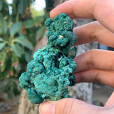 156.7g 9x6x6cm Natural Malachite from Laos