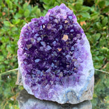 754g 12x10x10cm Purple Amethyst Cluster from Uruguay