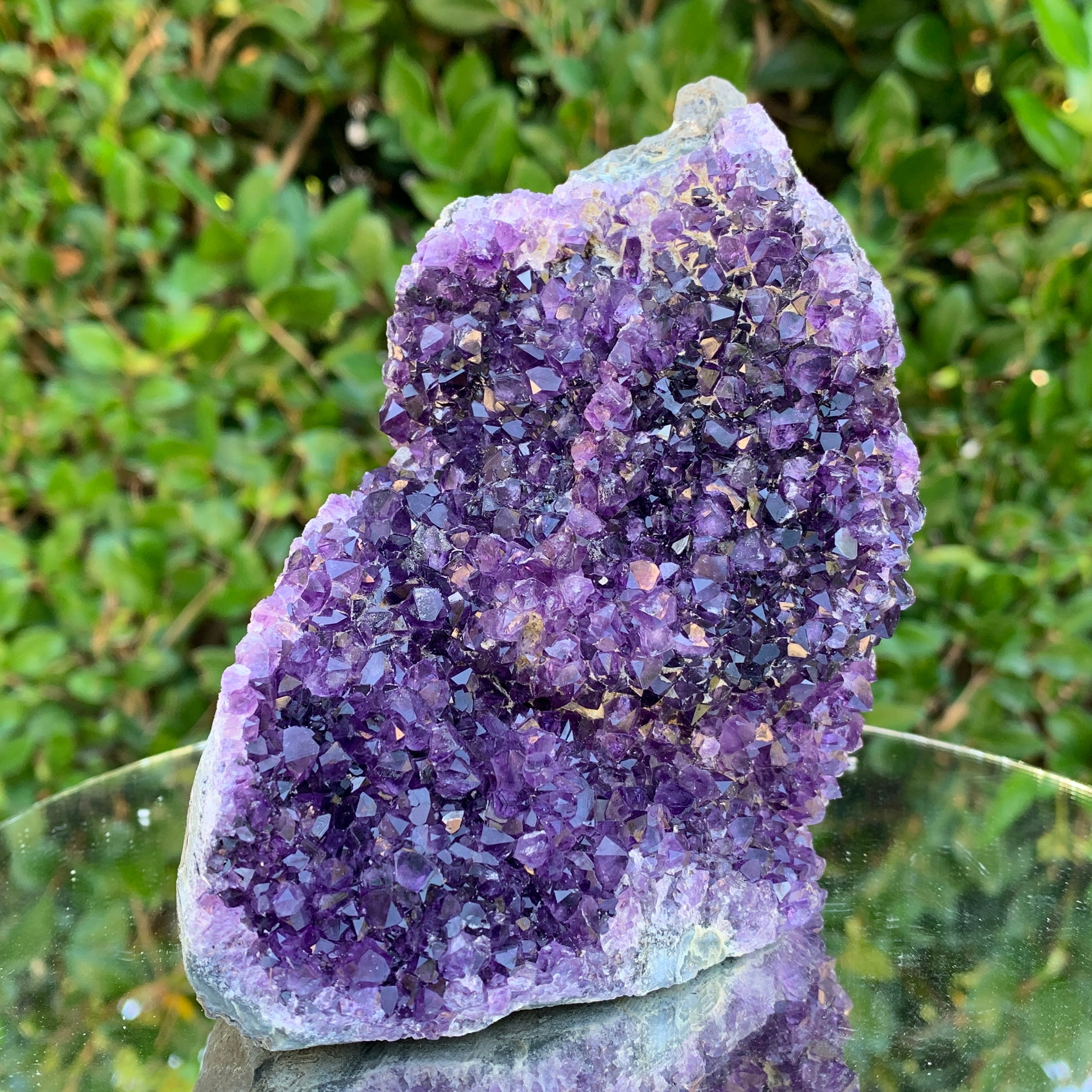 742g 12x11x9cm Purple Amethyst Cluster from Uruguay