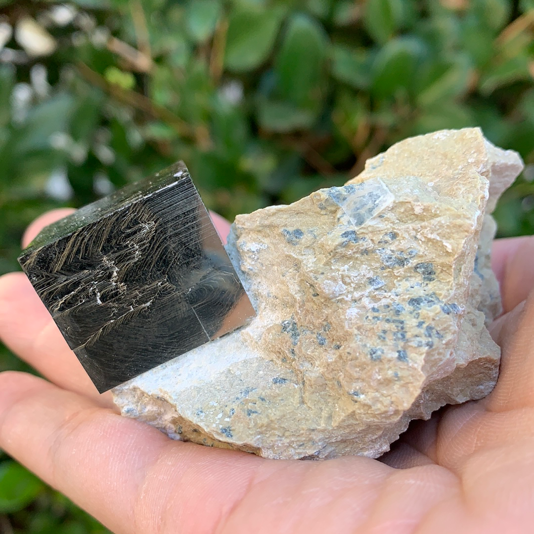 224g 8x7x5cm Cubic Navajun Spanish Pyrite  from Spain