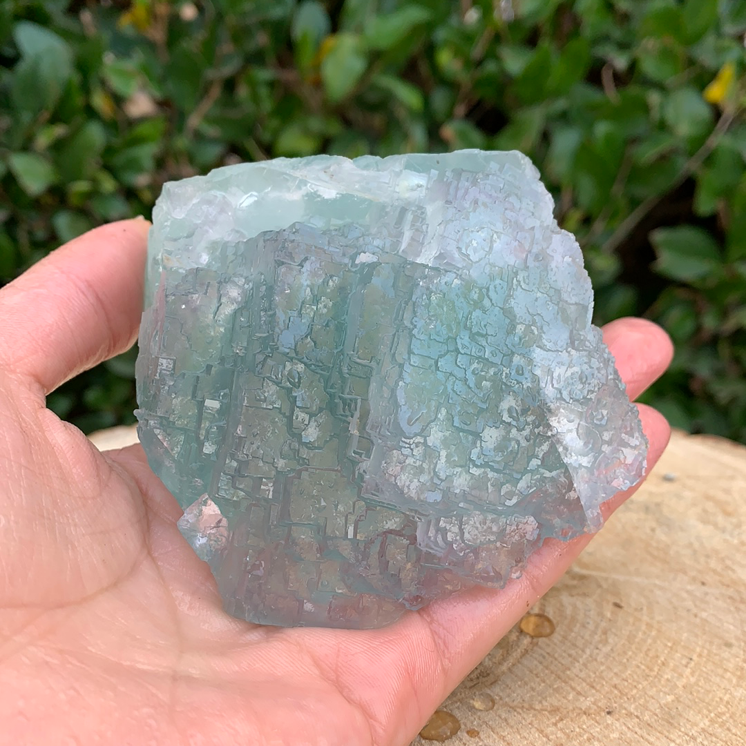 576g 10x9x6cm Green Fluorite from China