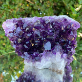 882g 13x9x7cm Purple Amethyst Cluster from Uruguay
