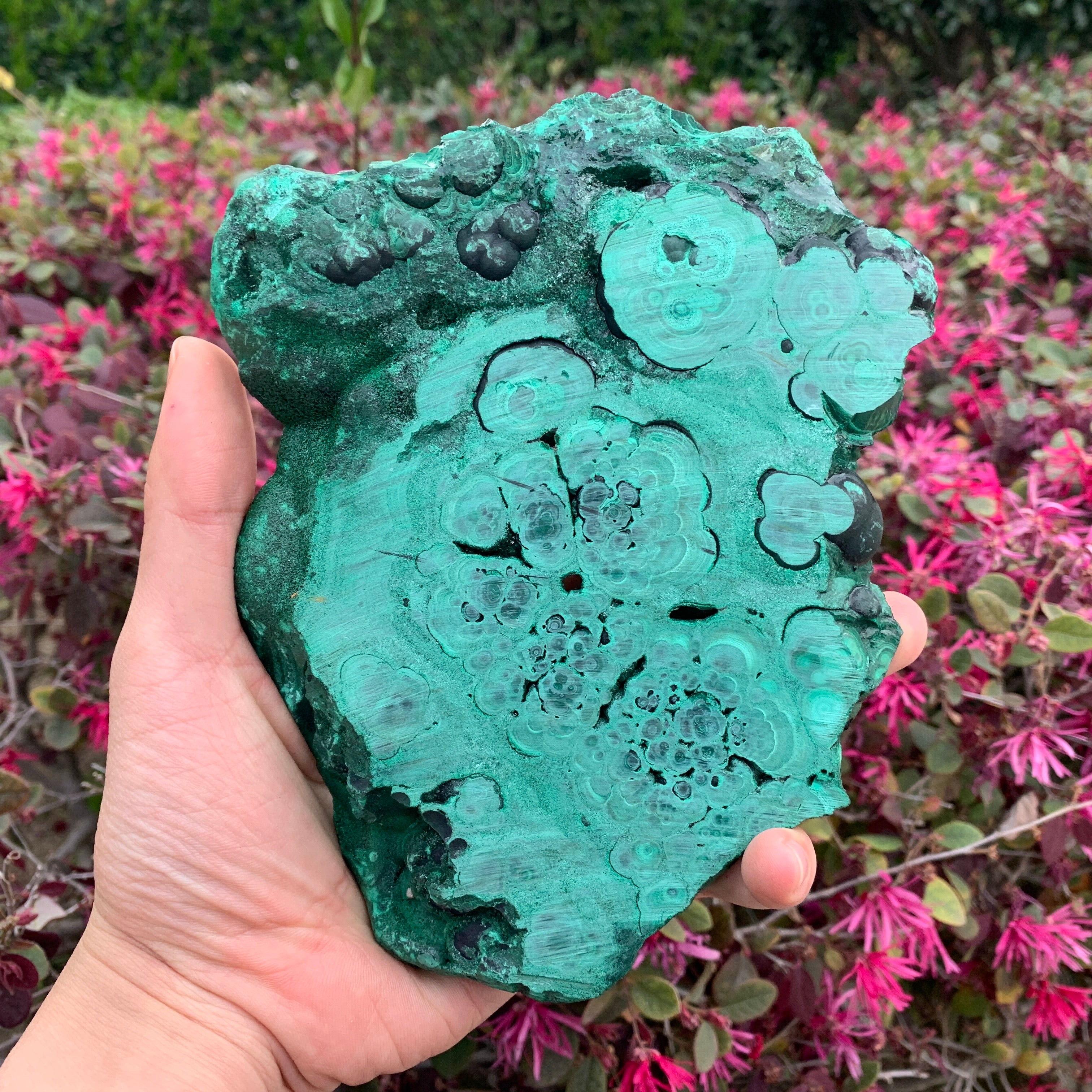 823g 18x14x1cm Green Malachite Slab from Congo