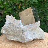 865.4g 12x10x10cm Cubic Navajun Spanish Pyrite  from Spain