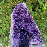 968g 14x12x9cm Purple Amethyst Cluster from Uruguay