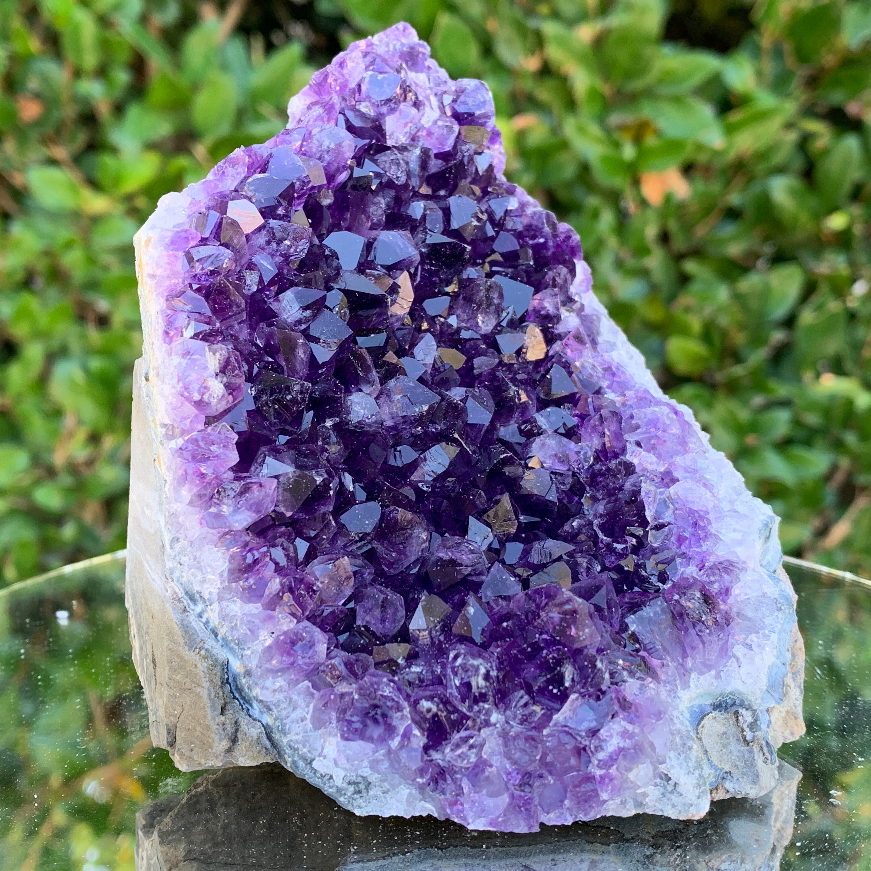 754g 12x10x10cm Purple Amethyst Cluster from Uruguay