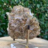 676g 11x9x6cm Brown Siderite from China