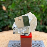 41.4g 5x3x4cm Cubic Navajun Spanish Pyrite  from Spain