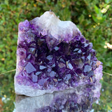 882g 13x9x7cm Purple Amethyst Cluster from Uruguay