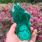 474g 17x8x1cm Green Malachite Slab from Congo